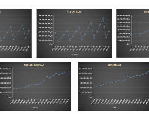 Hisse Senedi Bilanço Analiz Grafikleri (Excel)